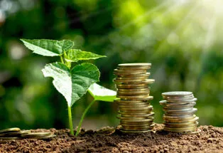 Bonus verde 2020: guida rapida all'uso