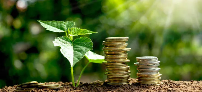 Bonus verde 2020: guida rapida all'uso