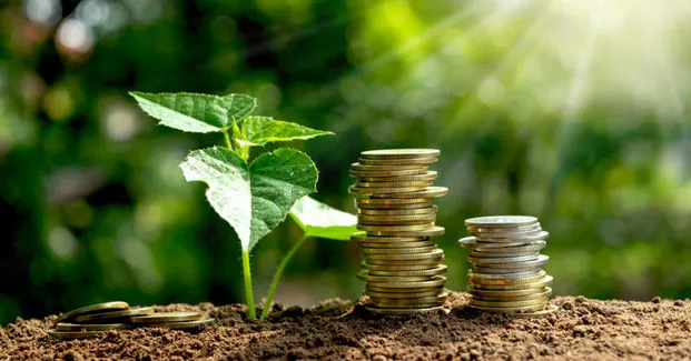 Bonus verde 2020: guida rapida all'uso
